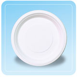 9 Inch Paper Plates